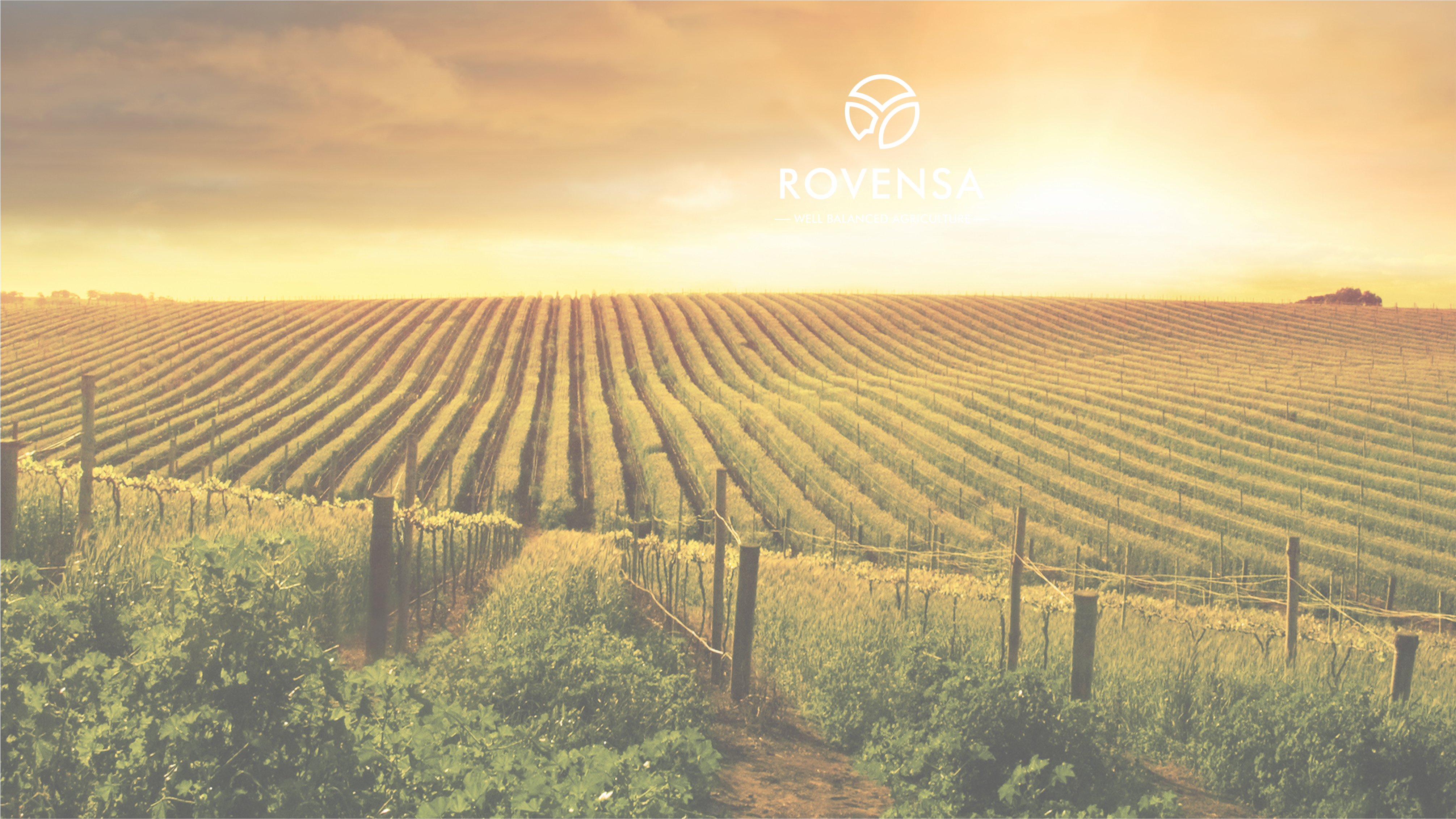 sustainableagriculture rovensa
